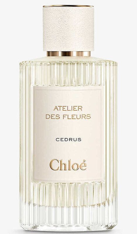 Chloe - Cedrus