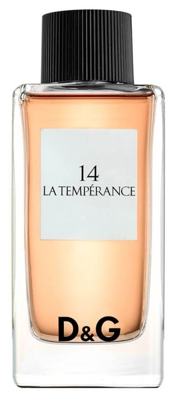 Dolce & Gabbana - 14 La Temperance