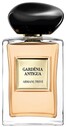 Giorgio Armani - Gardenia Antigua