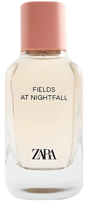 Fields at Nightfall