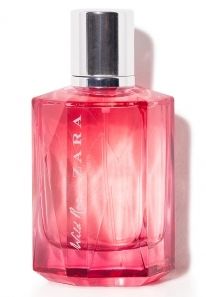 Zara - Zara Wild Rose